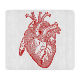 Red Antique Anatomical Heart