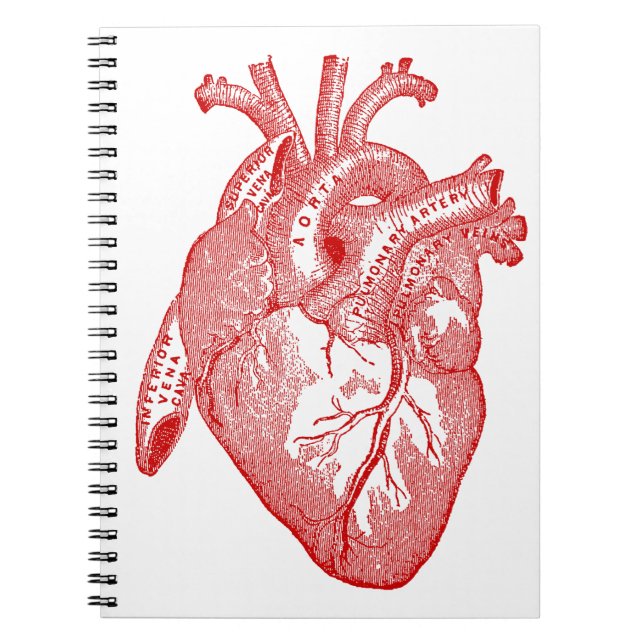 Red Antique Anatomical Heart Anteckningsbok (Framsidan)
