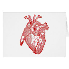 Red Antique Anatomical Heart Hälsningskort