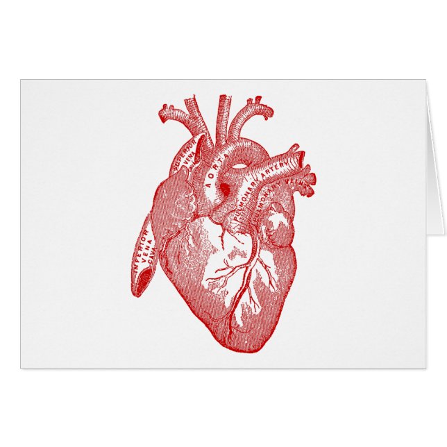 Red Antique Anatomical Heart Hälsningskort (Framsidan Horizontal)