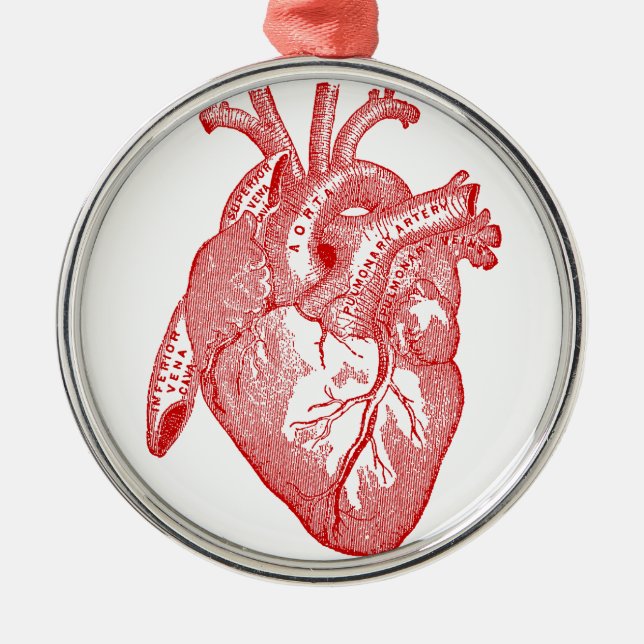 Red Antique Anatomical Heart Julgransprydnad Metall (Framsidan)