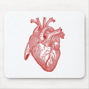 Red Antique Anatomical Heart Musmatta