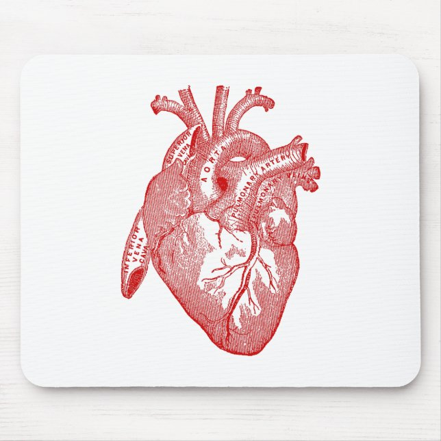 Red Antique Anatomical Heart Musmatta (Framsidan)