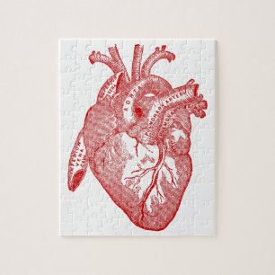 Red Antique Anatomical Heart Pussel