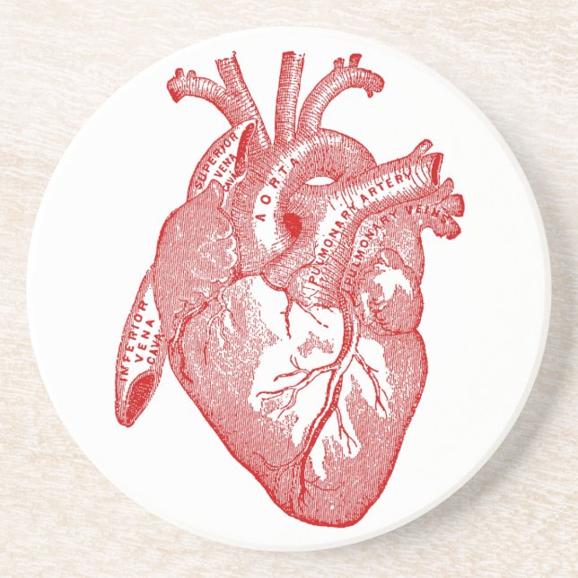 Red Antique Anatomical Heart Underlägg (Framsidan)