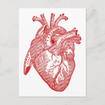 Red Antique Anatomical Heart