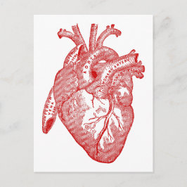 Red Antique Anatomical Heart Vykort