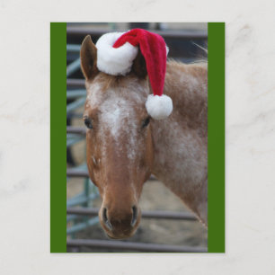 Red Appaloosa med Santa Hat Helg Vykort