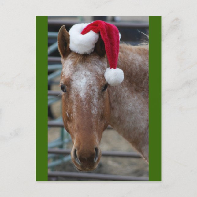 Red Appaloosa med Santa Hat Helg Vykort (Framsida)
