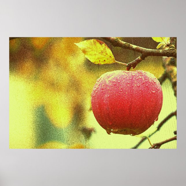"Red Apple" Cute Photo. Köp nu Poster (Framsidan)