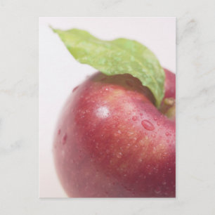 Red Apple Grönt Löv Vykort