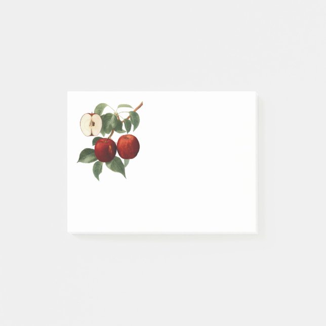 Red Apples Botanical Teacher Name 4x3 Post-it Block (Framsida)