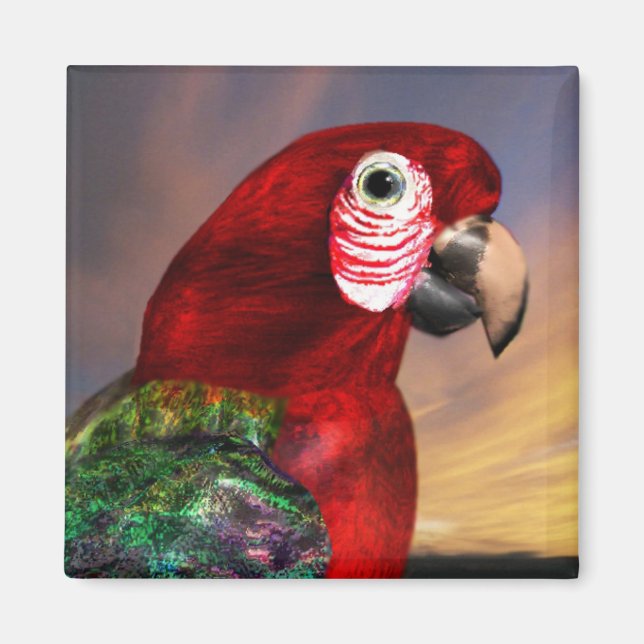 RED ARA MAGNET (Framsidan)