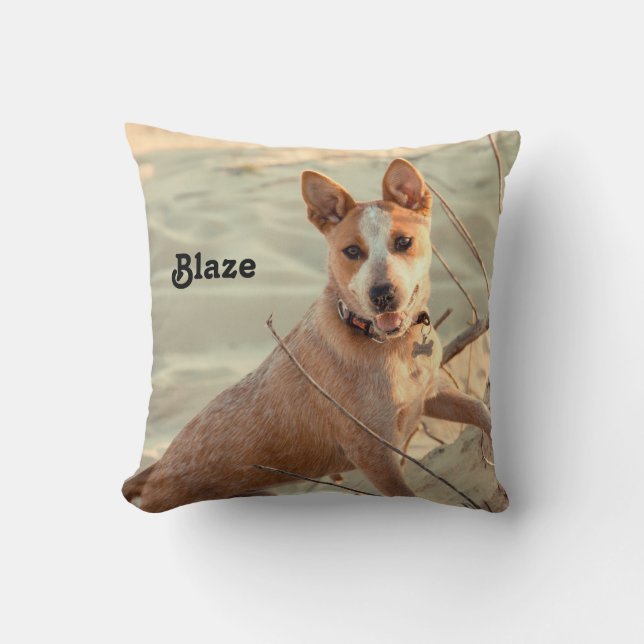 Red Australian Cattle Hund - Heeler - i snö Kudde (Framsida)
