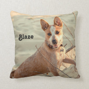 Red Australian Cattle Hund - Heeler - i snö Kudde