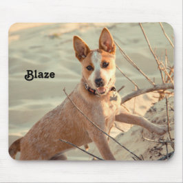 Red Australian Cattle Hund - Heeler - i snö Musmatta