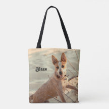 Red Australian Cattle Hund - Heeler - i snö
