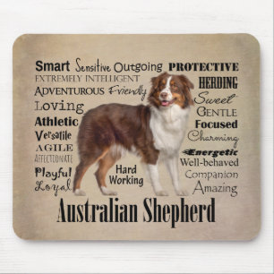 Red Australian shepherd Traits Musmatta