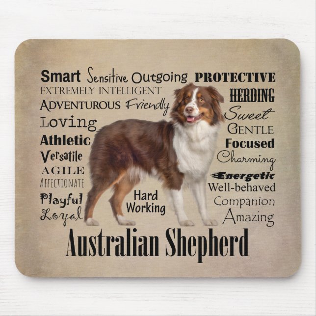 Red Australian shepherd Traits Musmatta (Framsidan)