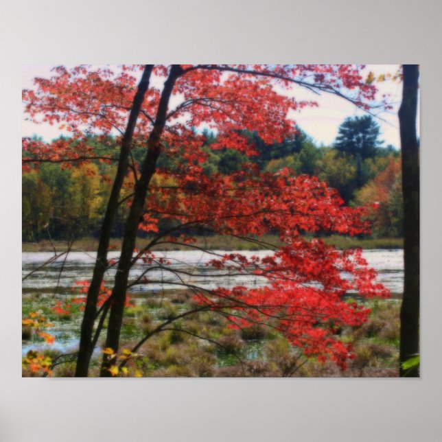 Red Autumn Foliage Marsh Orton Effect Poster (Framsidan)