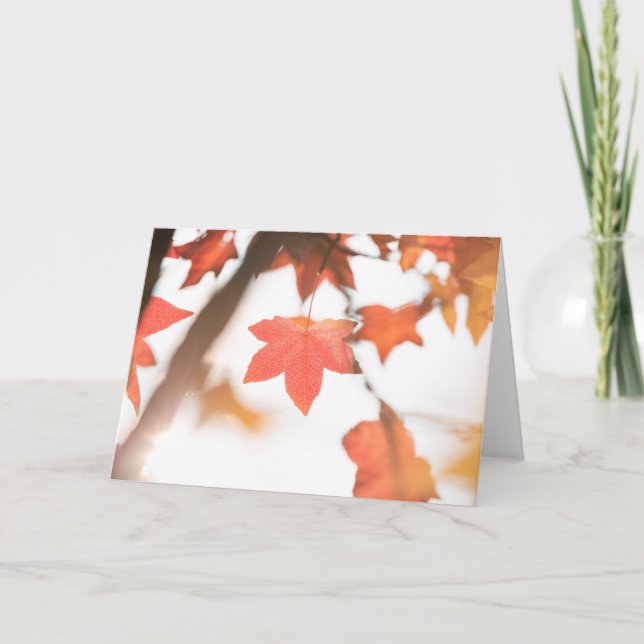 Red Autumn Löv Nature Photo Kort (Framsida)