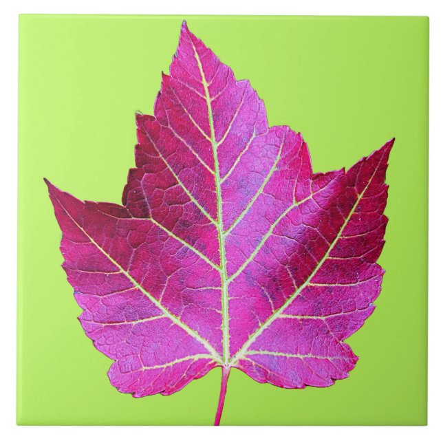 Red Autumn Maple Leaf on Green Floral Kakelplatta (Framsidan)