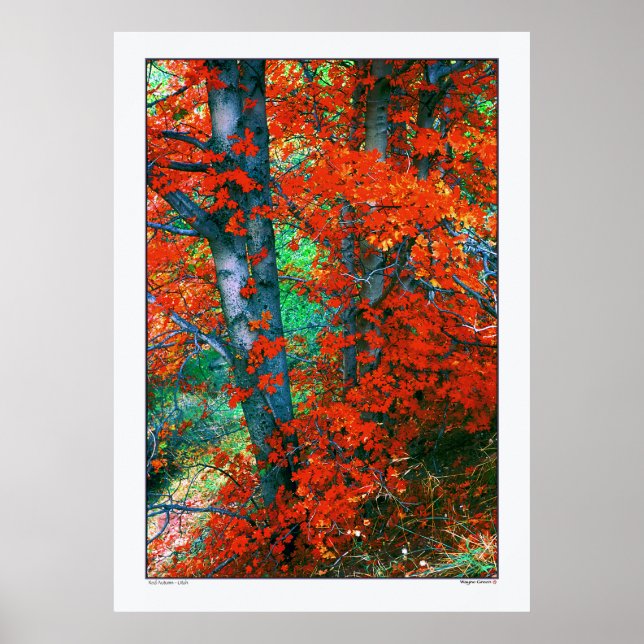 Red Autumn - Utah Poster (Framsidan)
