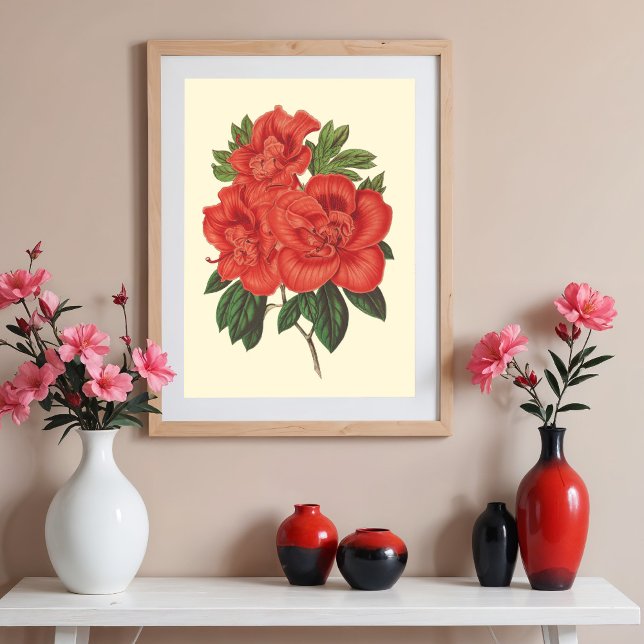 Red Azalea botanical Illustration Poster (Skapare uppladdad)