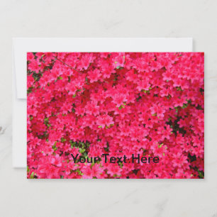 Red Azalea Flower Patch-inbjudan Inbjudningar