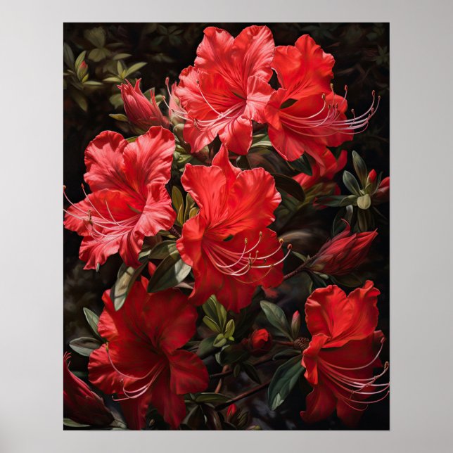 Red Azalea Flowers Art Print Poster (Framsidan)