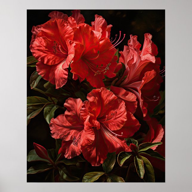 Red Azalea Flowers Art Print Poster (Framsidan)