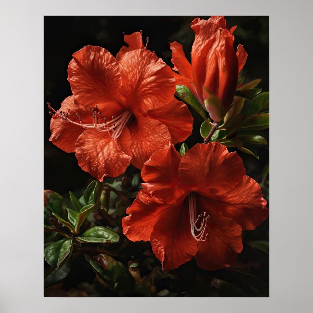 Red Azalea Flowers Art Print Poster (Framsidan)