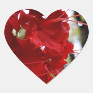 Red Azalea Flowers Hjärtformat Klistermärke