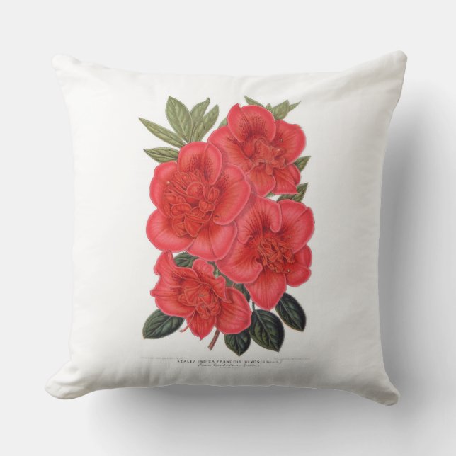 Red Azalea indica-kudde Kudde (Framsida)