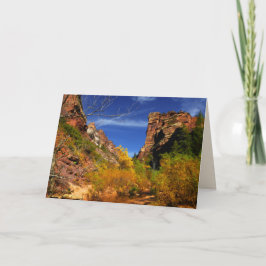 Red Backe Ligcape, Tunnelbanan, Zion NP, Tom Insid Kort