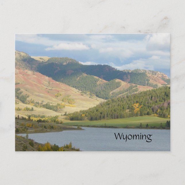 Red Backe of Wyoming Postcard Vykort (Framsida)