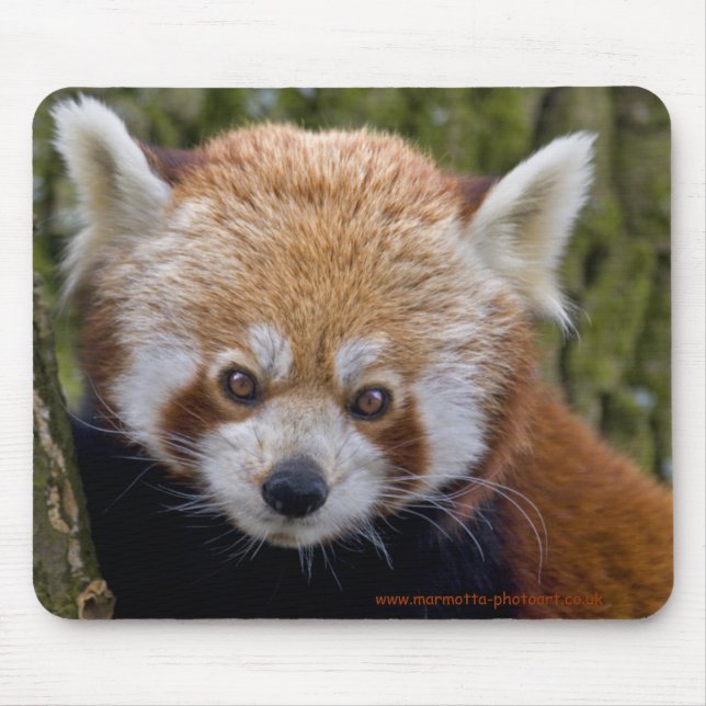 Red Bandit Mousemat Musmatta (Framsidan)