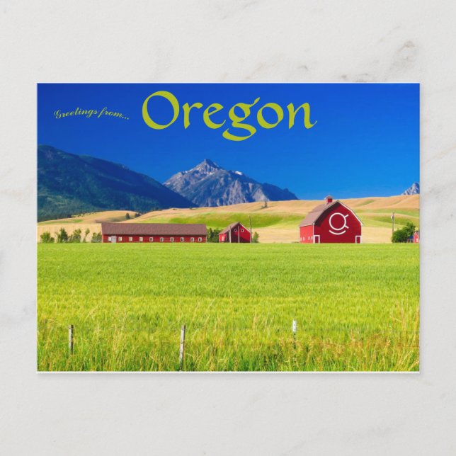 Red Barn at Wallowa-Whitman National Forest USA Vykort (Framsida)