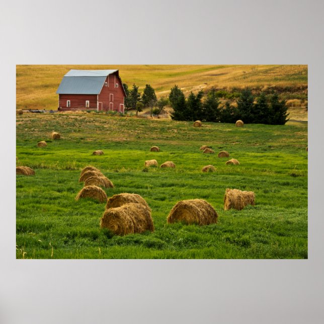 Red Barn, haybaler, Albion, Palouse Area 2 Poster (Framsidan)