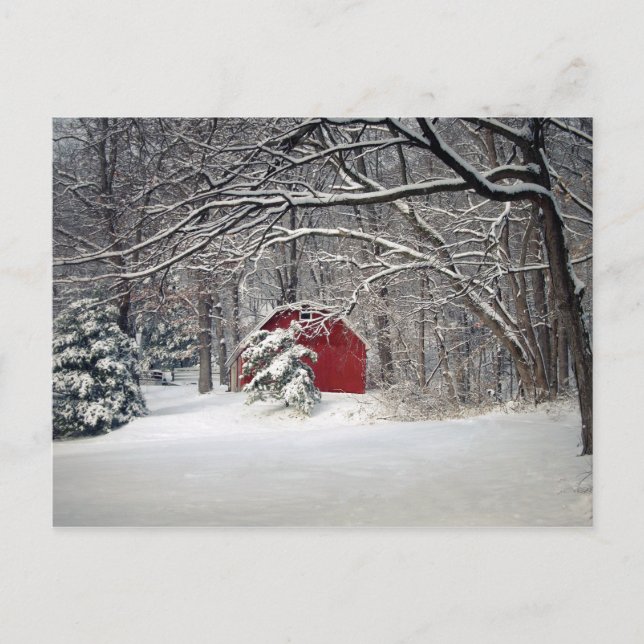 Red Barn i Snö 2011 Vykort (Framsida)