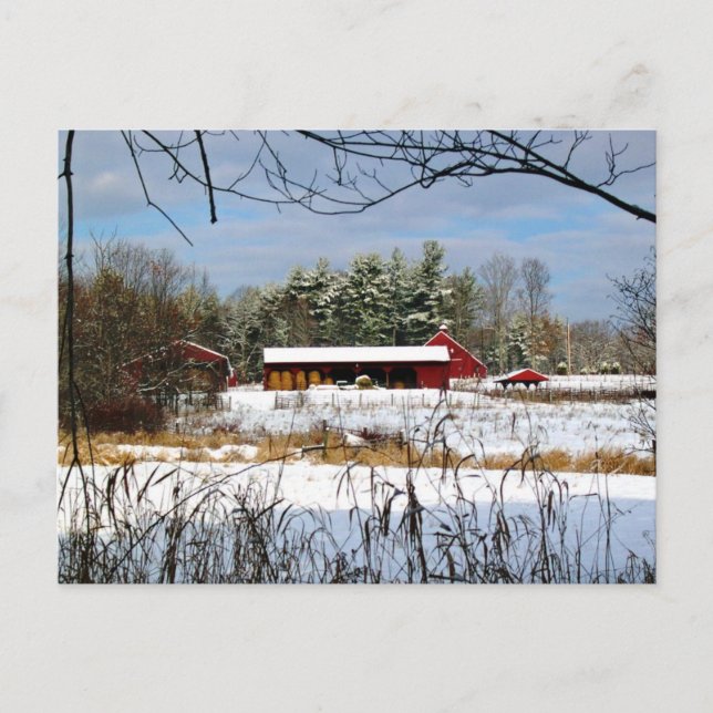 Red Barn in Winter New Hampshire Photography Helg Vykort (Framsida)