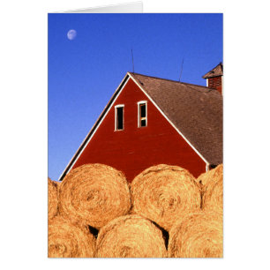 Red Barn Måne Hälsningskort