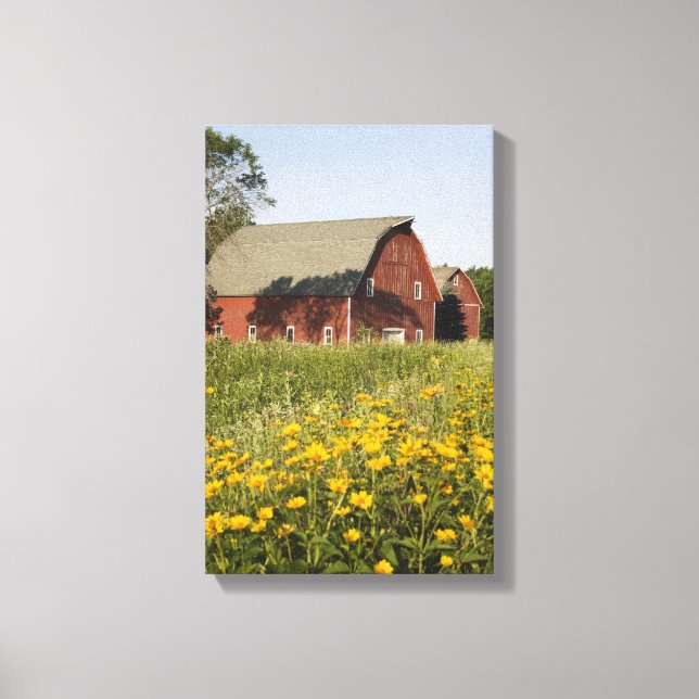 Red Barn med Gult Wildblommor Canvastryck (Framsida)