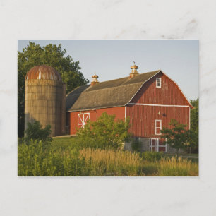 Red Barn och Silo Vykort
