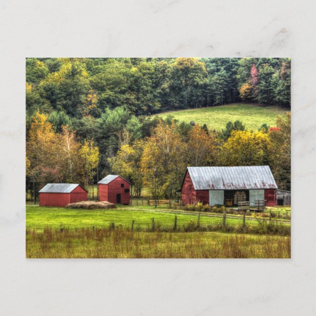 Red Barns Autumn Fall Virginia Countryside Vykort (Framsida)
