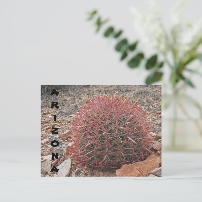 Red Barrel Cactus Desert Plant Arizona Hälsning Vykort (Stående Fram)