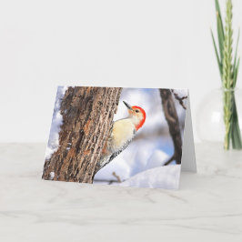 Red-bellied Woodpecker Christmas Card Helgkort