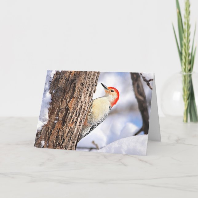 Red-bellied Woodpecker Christmas Card Helgkort (Framsida)