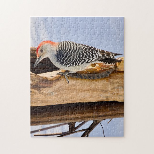 Red-Bellied Woodpecker Jigsaw Puzzle Pussel (Vertikal)