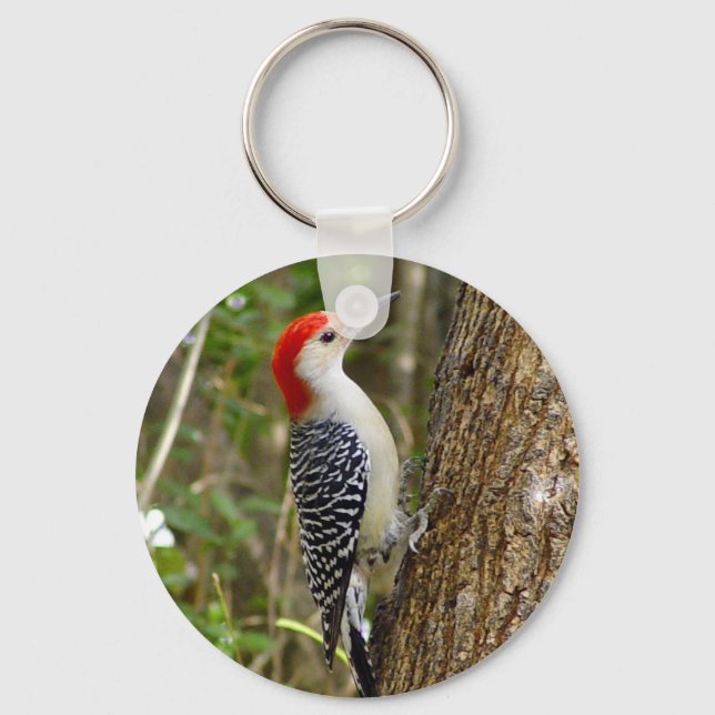 Red Belllied Woodpecker Keychain Nyckelring (Framsida)